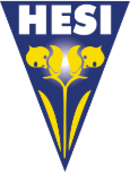 HESI Boost 500ml